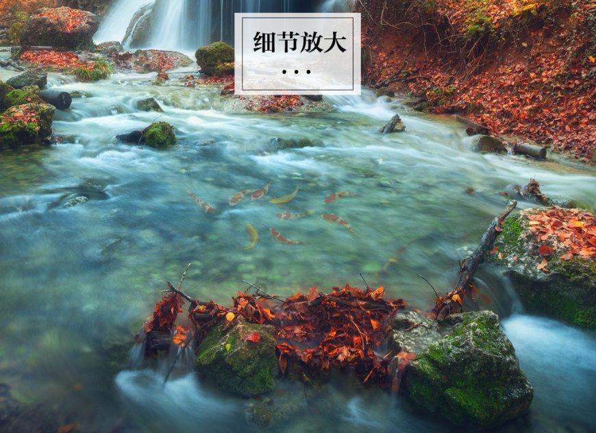 神奇小子龙之陷阱